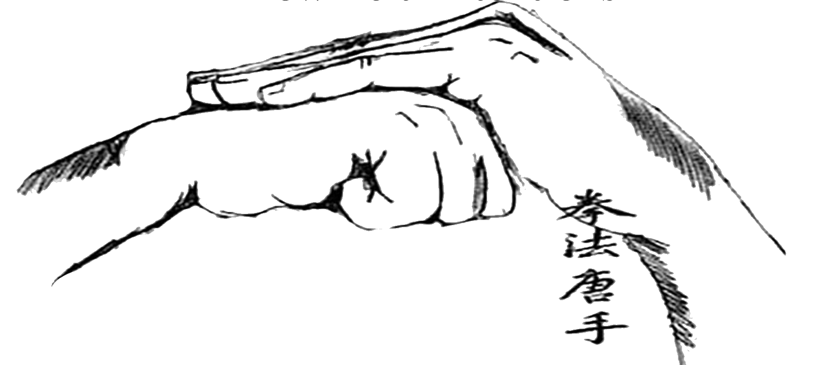 Kenpo Hands